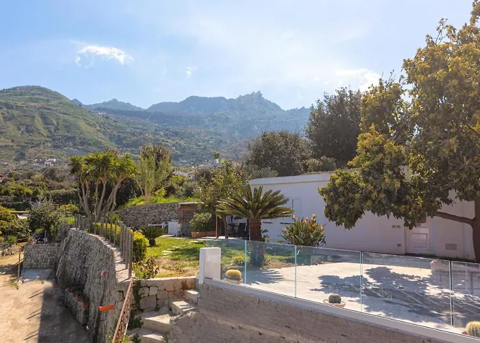 Casa Yucca