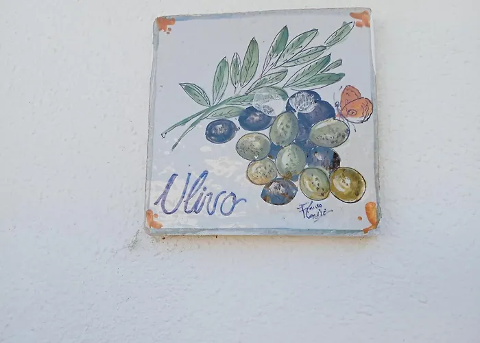 Casa Pitosforo Casa Ulivo